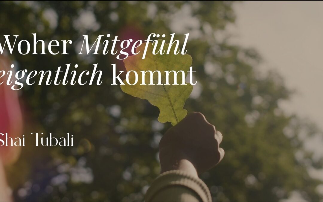 Woher Mitgefühl eigentlich kommt: Eine visuelle Meditation