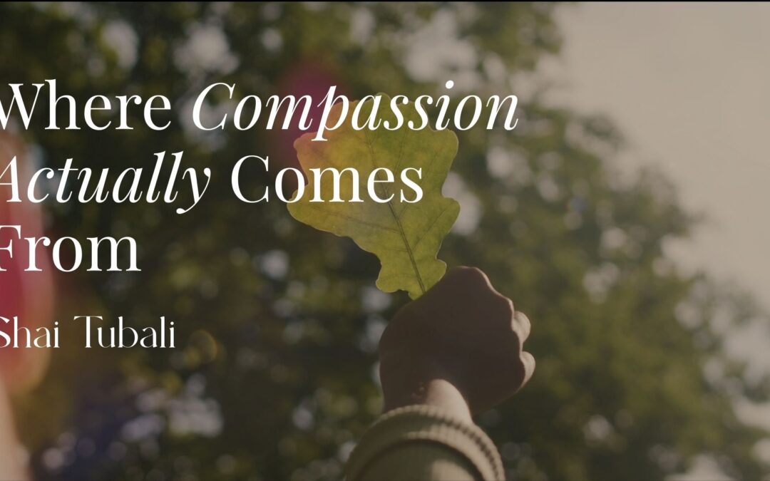 Where Compassion Actually Comes From: A Visual Meditation